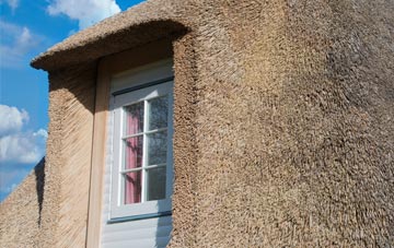 Pencader thatch roof disadvantages